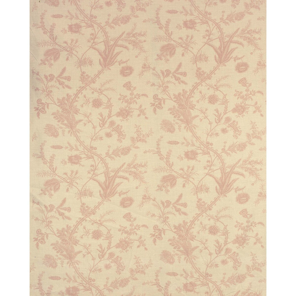 20221237160-plumes-antique-pink-lee-jofa