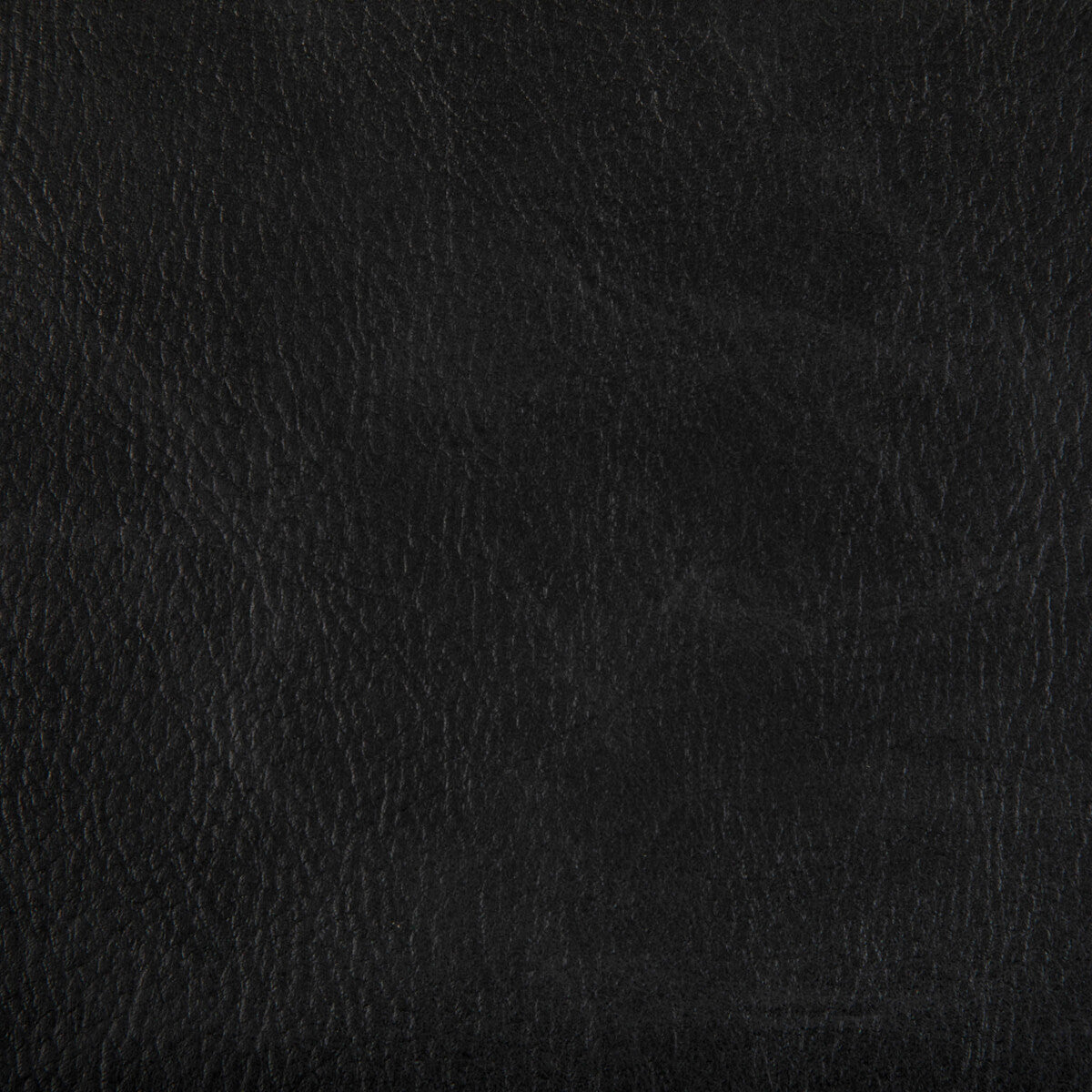 toni80-toni-stallion-kravet-contract - KRAVET CONTRACT Fabric