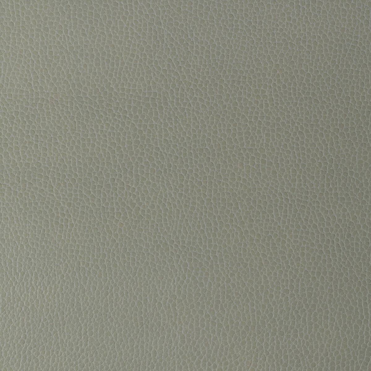 gillian110-kravet-design-gillian-11-kravet-design