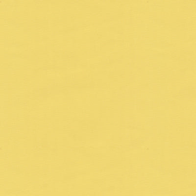 br-81081jji0-ninon-taffetas-jaune-brunschwig-fils - BRUNSCHWIG & FILS Fabric