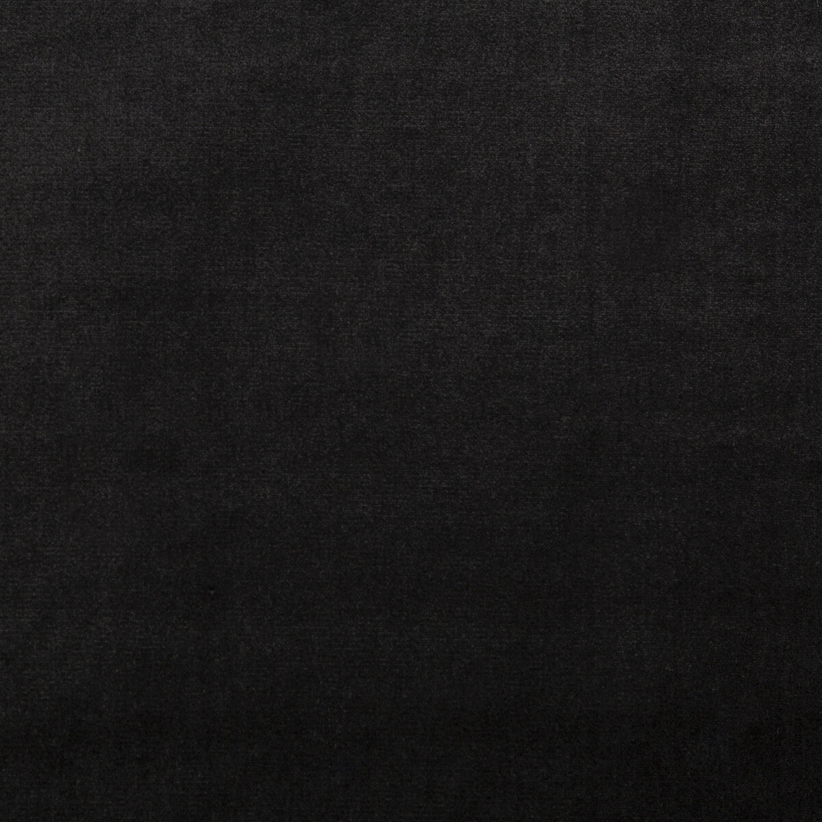 201612180-duchess-velvet-caviar-lee-jofa - LEE JOFA Fabric