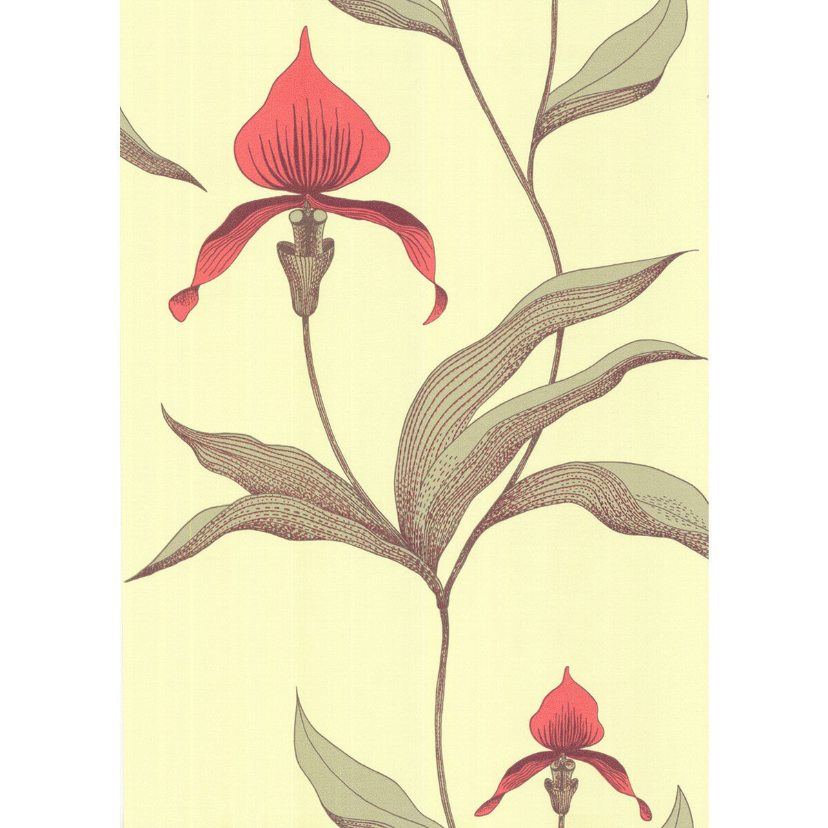 664033cs0-orchid-limeor-cole-son - COLE & SON Wallpaper