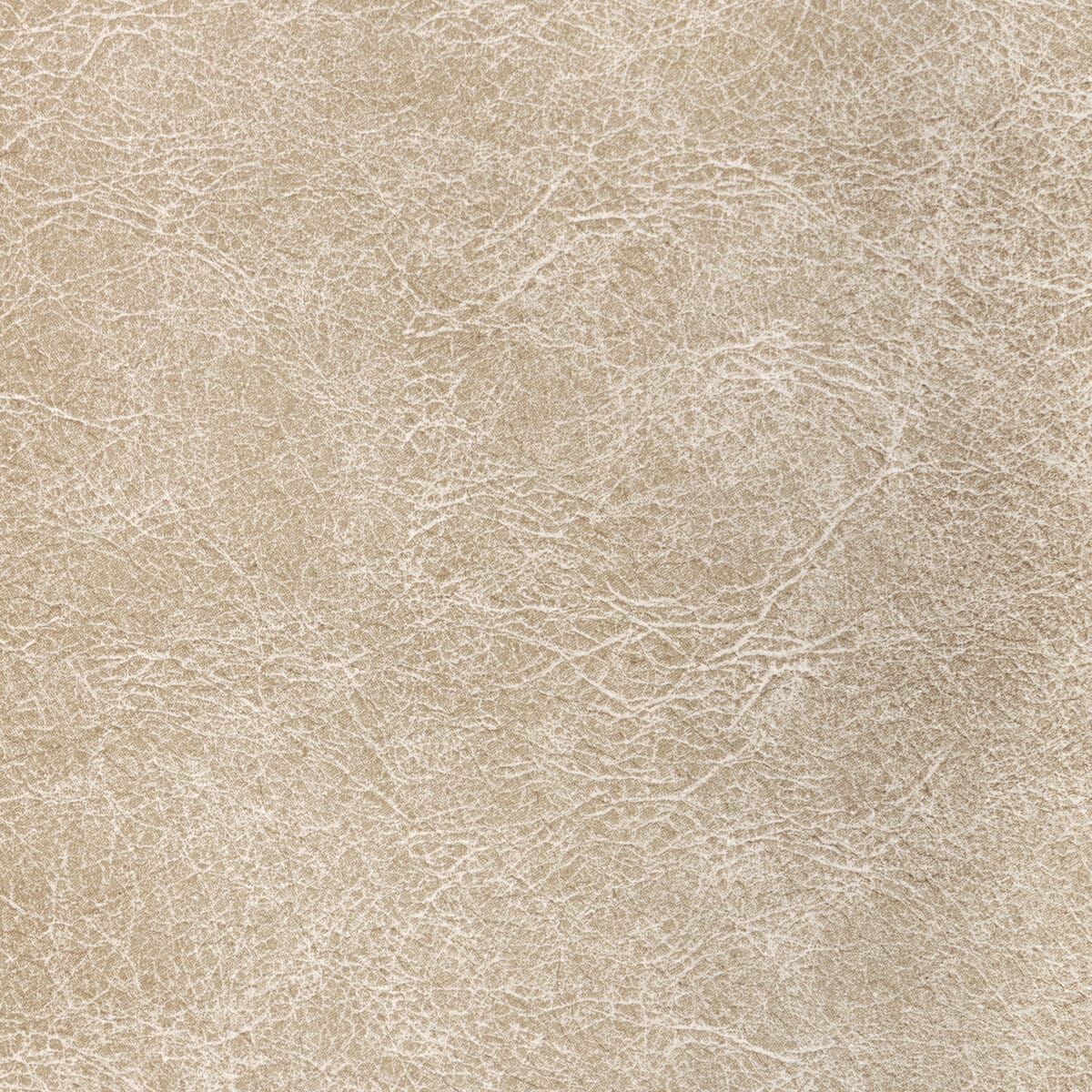 reboot1160-reboot-fossil-kravet-contract