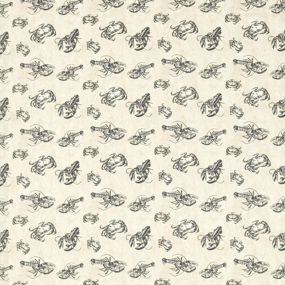 f173101cac0-shellfish-charcoal-clarke-and-clarke