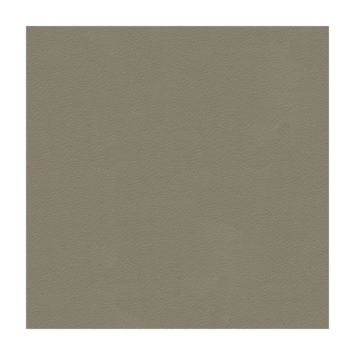 ali110-kravet-design-ali-11-kravet-design