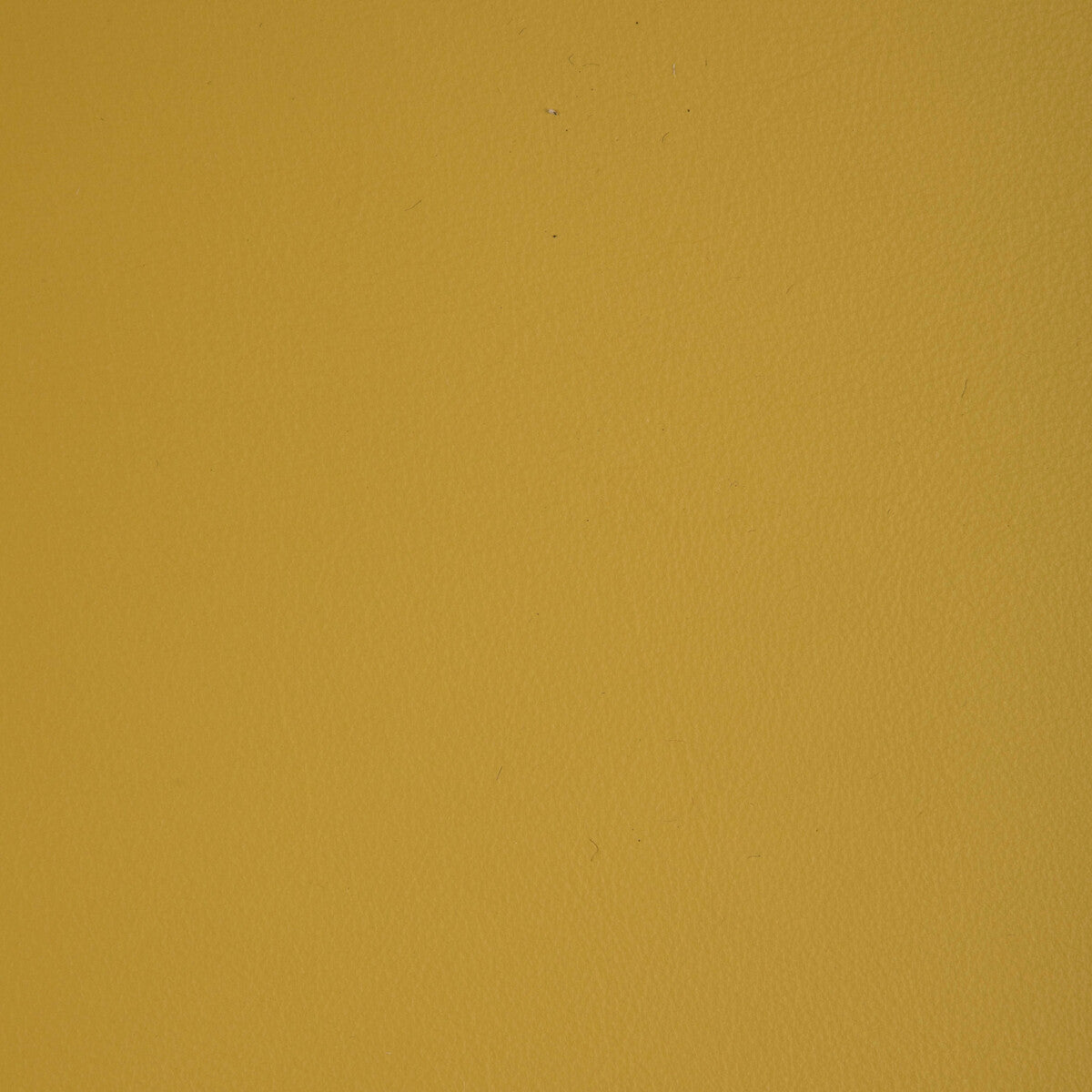 l-howdysunshine0-kravet-design-l-howdy-sunshine-kravet-design