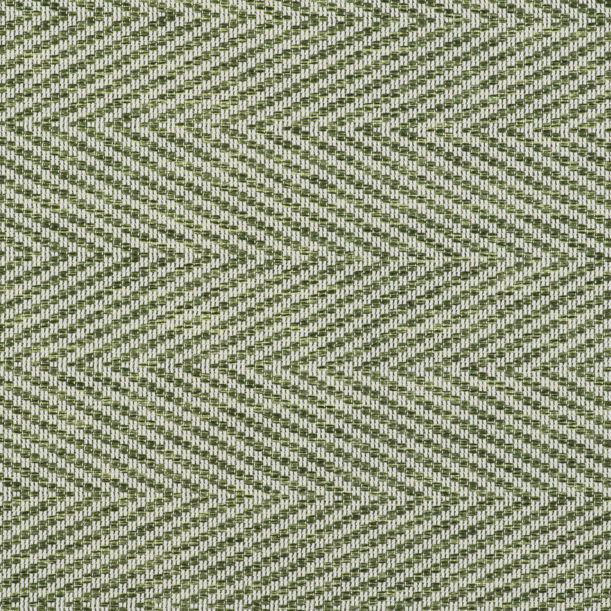gdt55070050-gran-espiga-verde-gaston-y-daniela