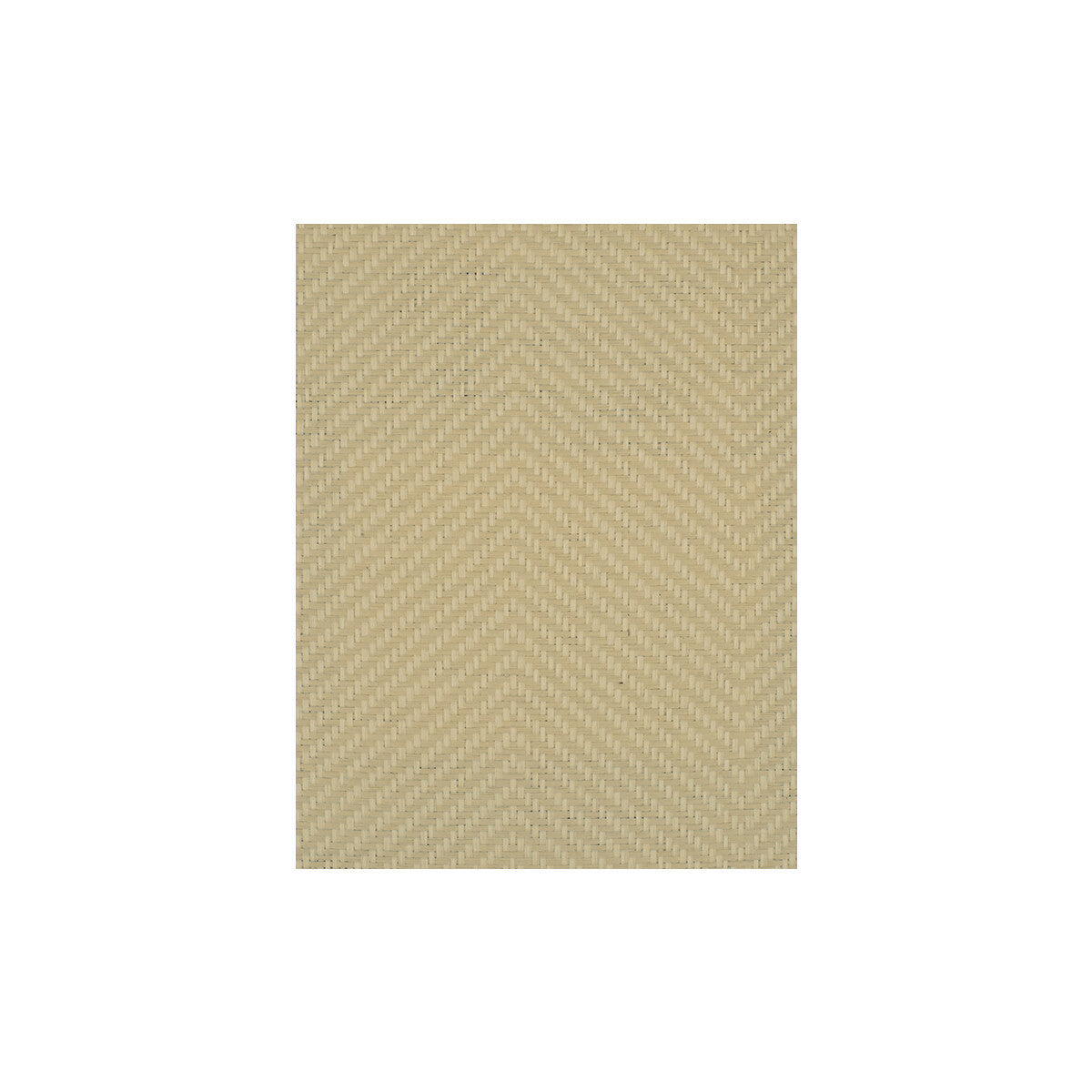wiw2574wt0-hamilton-shell-winfield-thybony - WINFIELD THYBONY Wallpaper