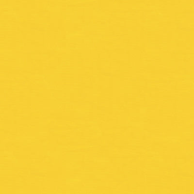 br-81081j0-ninon-taffetas-jaune-brunschwig-fils