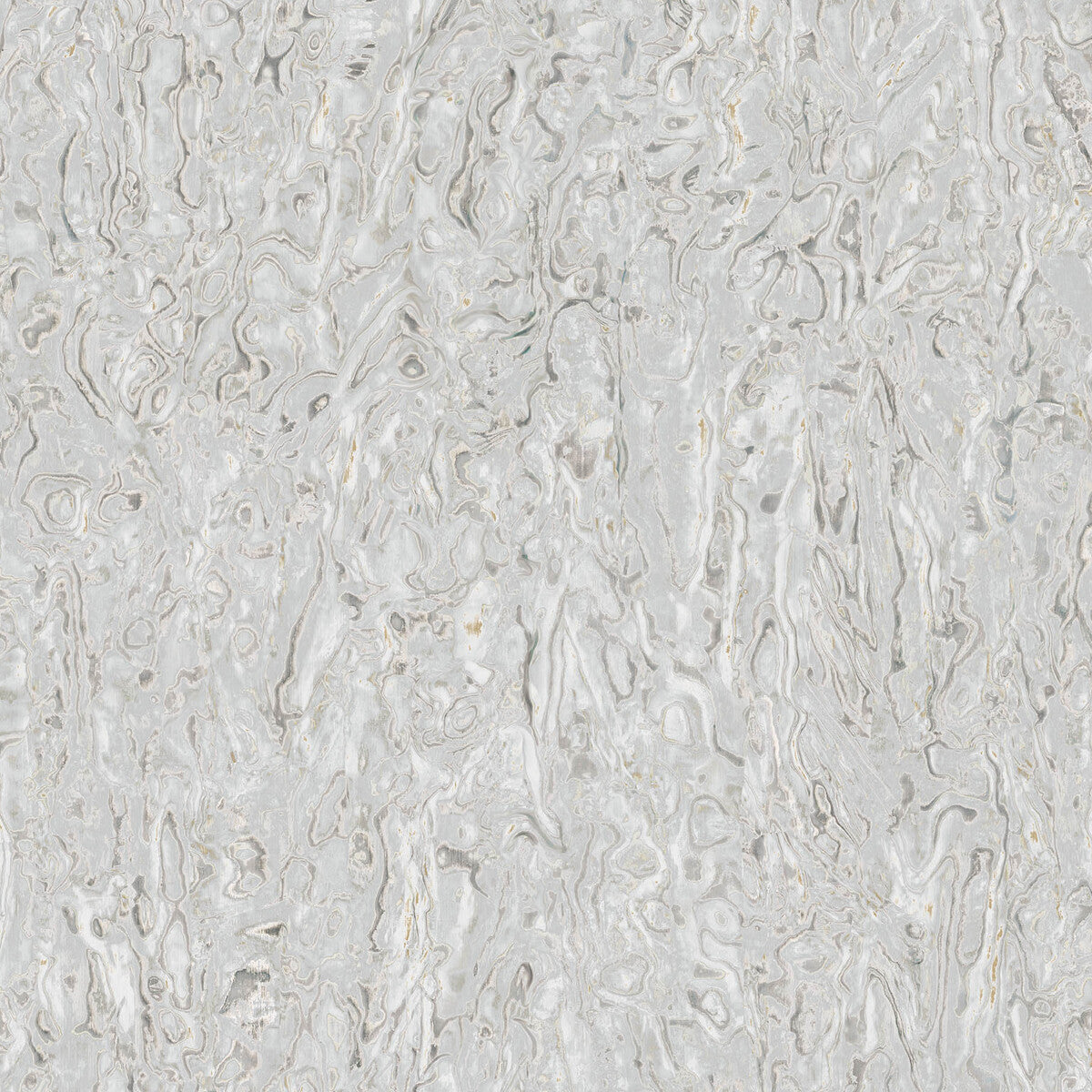 whf3803wt0-abalone-dove-winfield-thybony - WINFIELD THYBONY Wallpaper