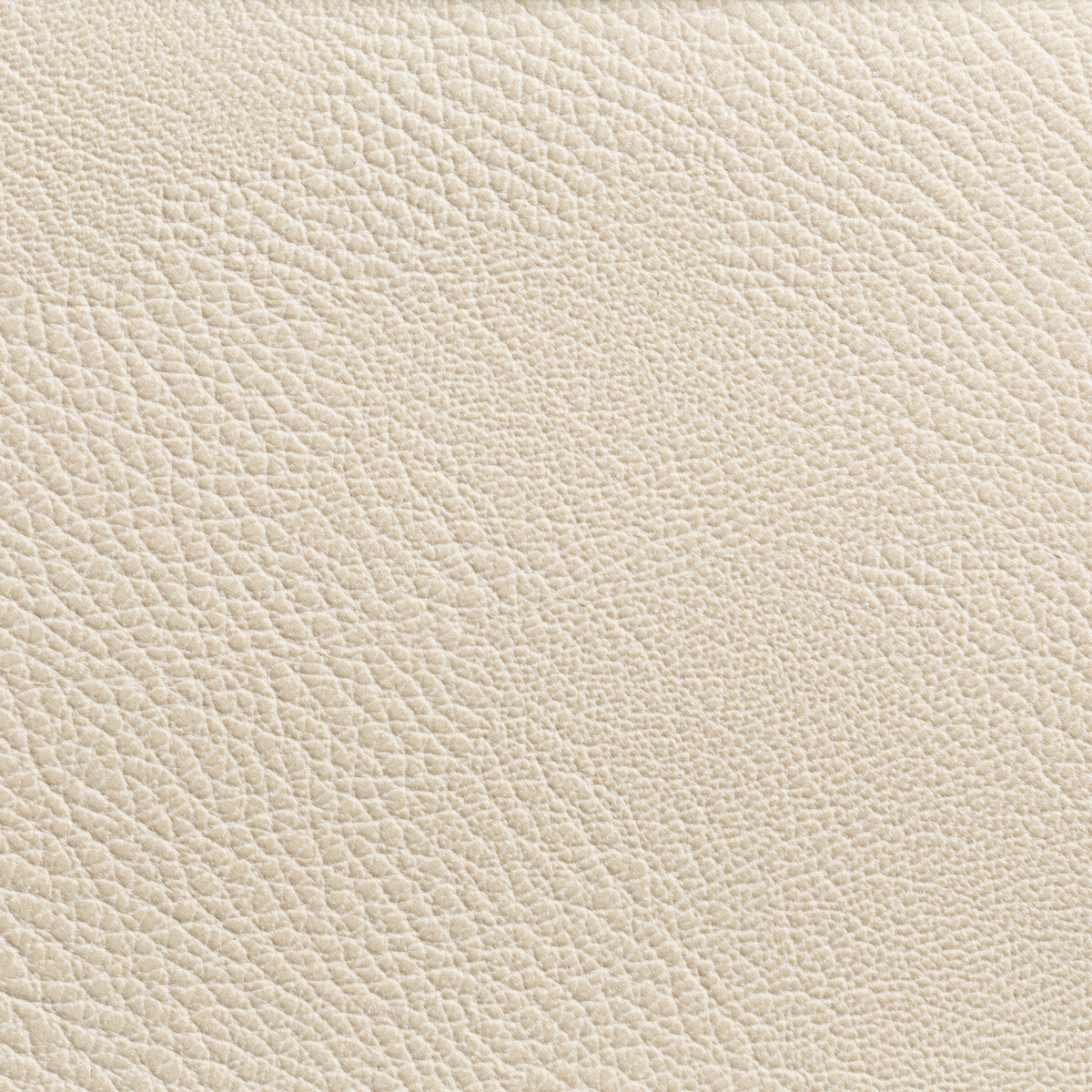 rustler1110-rustler-gypsum-kravet-contract