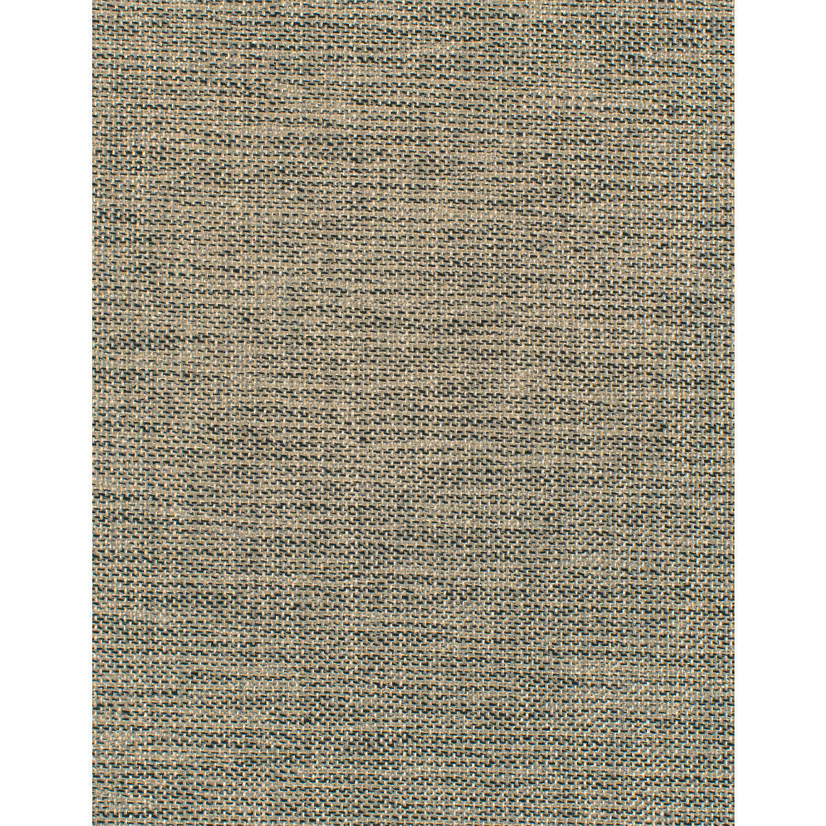 wdw2371wt0-astrid-cattails-winfield-thybony - WINFIELD THYBONY Wallpaper