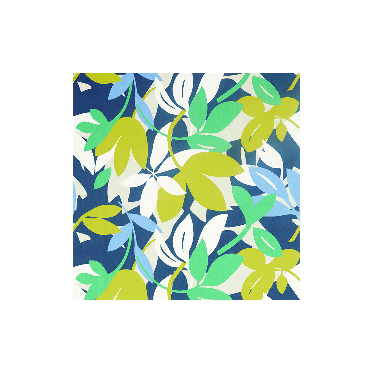nnue120724scn0-baja-forestcitruselectric-scion