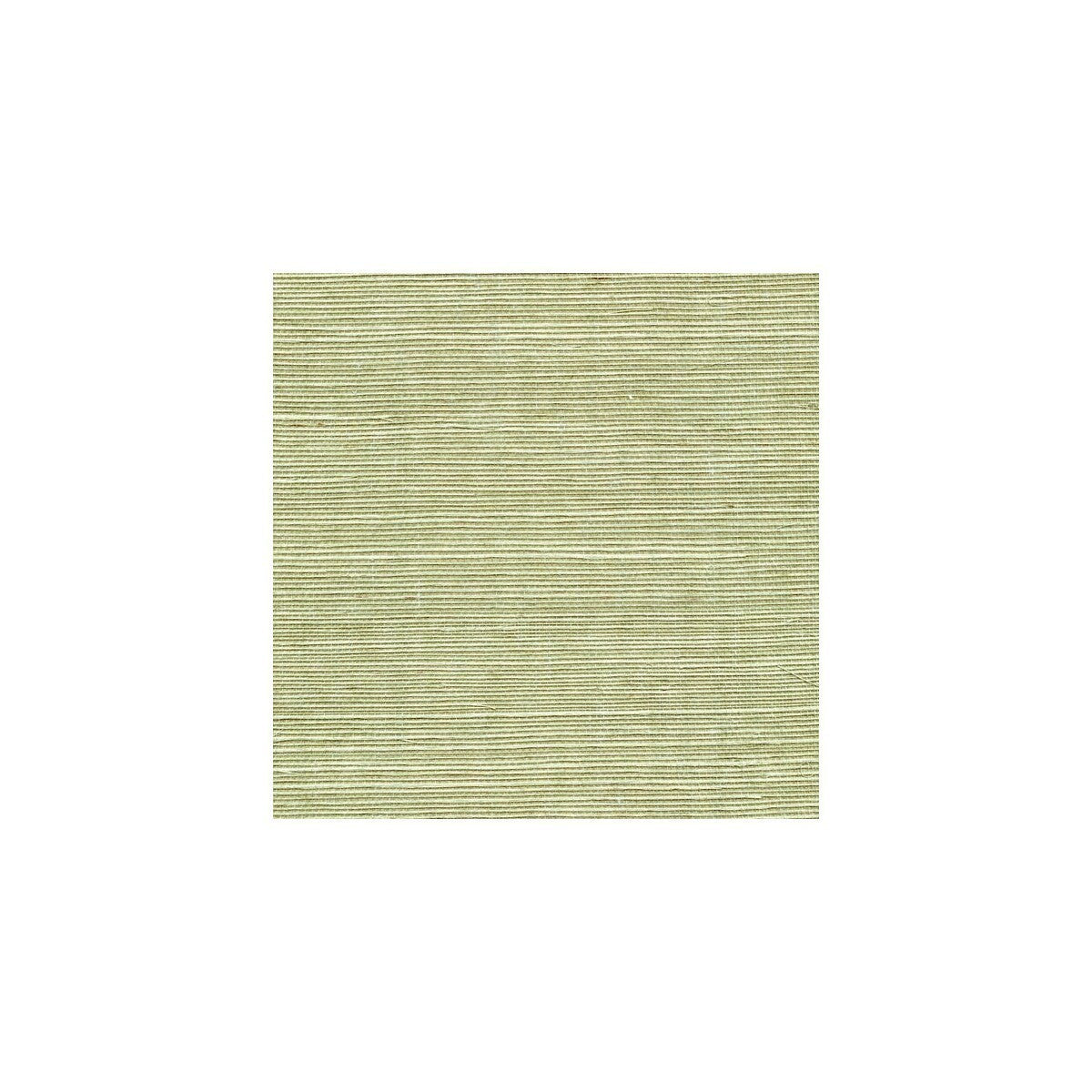 wss4531wt0-sisal-fern-winfield-thybony - WINFIELD THYBONY Wallpaper