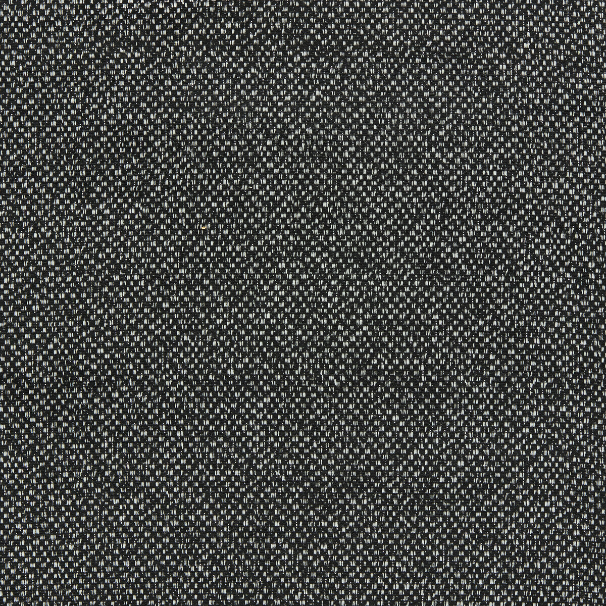 f142102cac0-filum-ebony-clarke-and-clarke