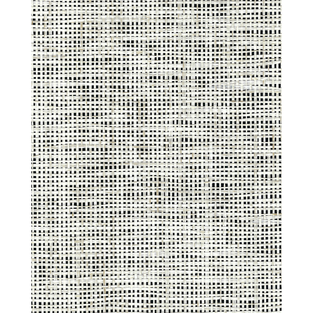 wnr2091wt0-sarashi-paper-weave-noir-winfield-thybony