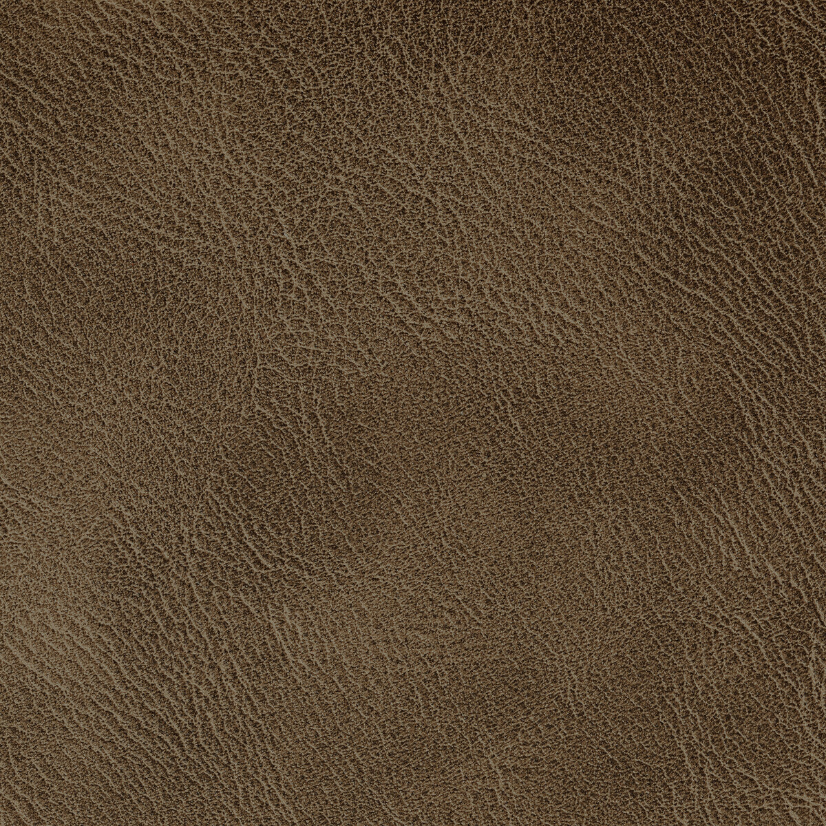 spur6160-spur-pecan-kravet-contract