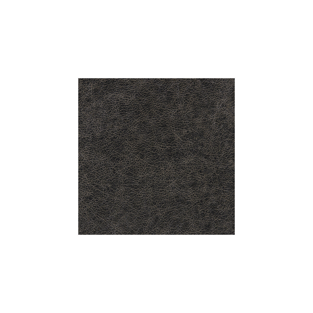 wpw1135wt0-enduring-rocker-winfield-thybony - WINFIELD THYBONY Wallpaper