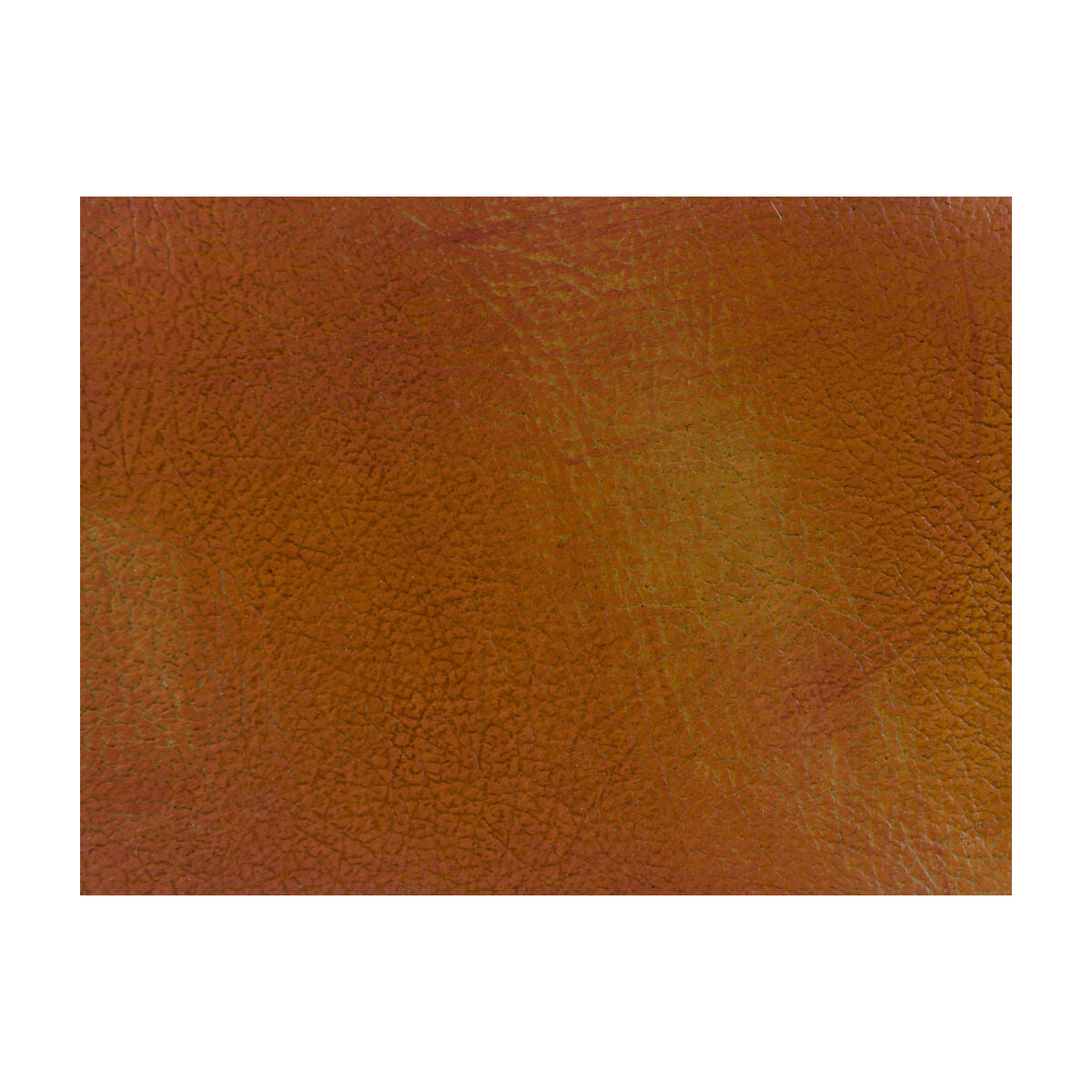 l-lucerneharvest0-l-lucerne-harvest-kravet-couture