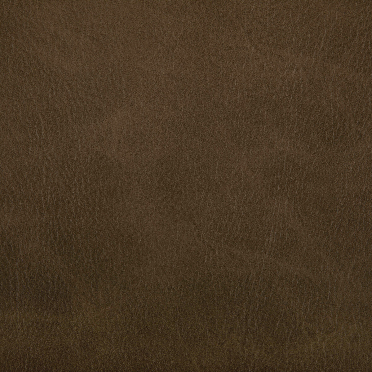 toni1660-toni-etruscan-kravet-contract - KRAVET CONTRACT Fabric