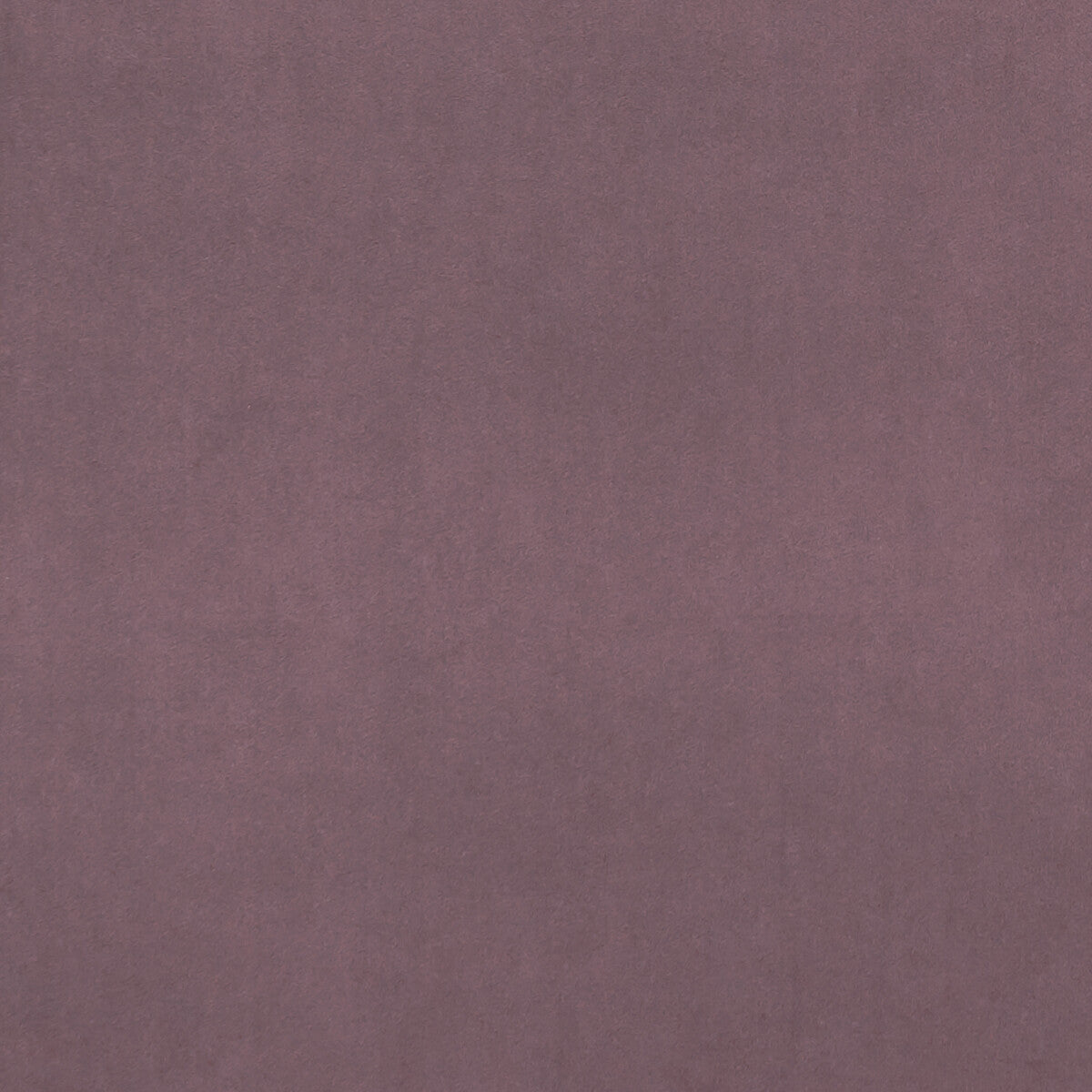 f075342cac0-alvar-lavender-clarke-and-clarke - CLARKE AND CLARKE Fabric