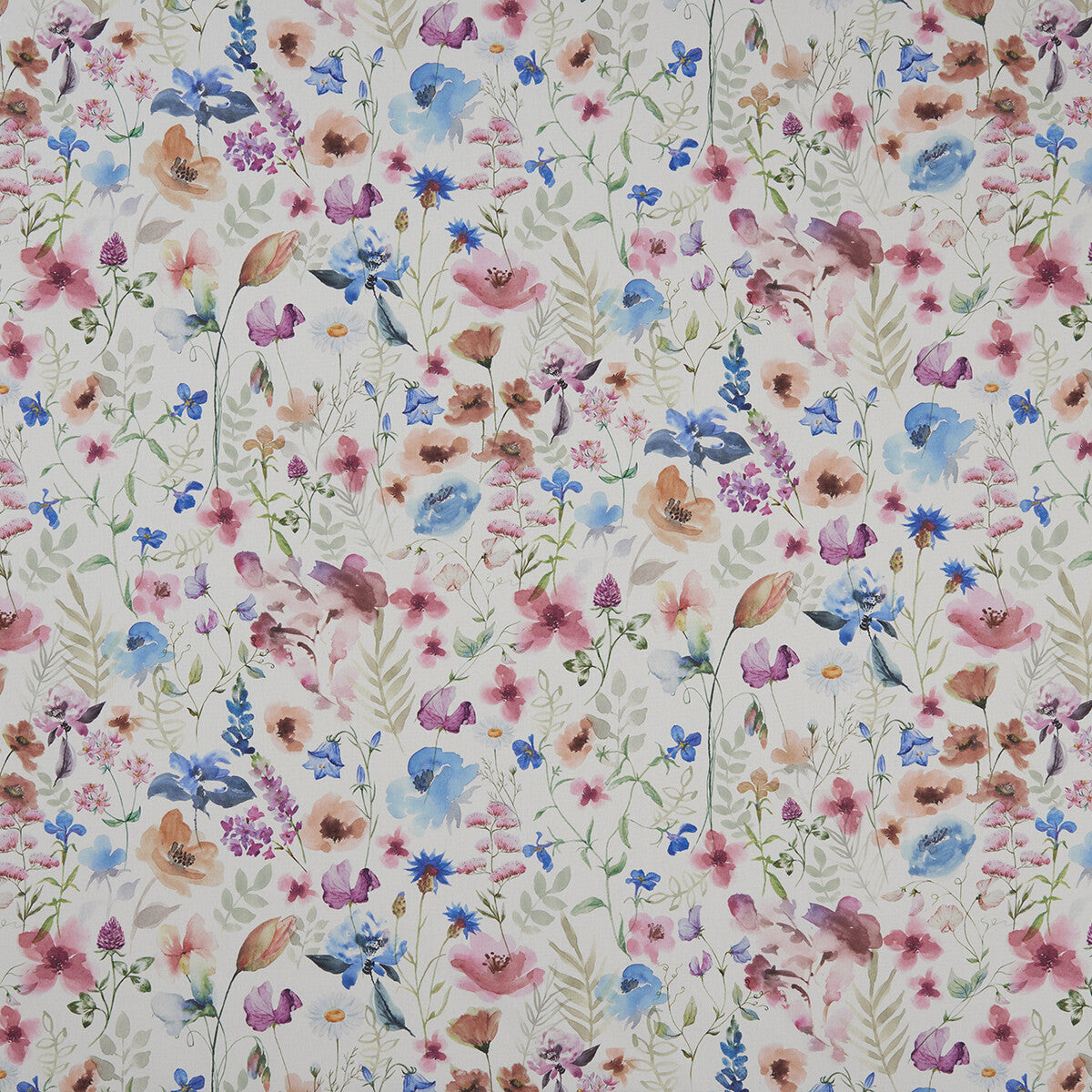 f116401cac0-lolita-multicream-clarke-and-clarke