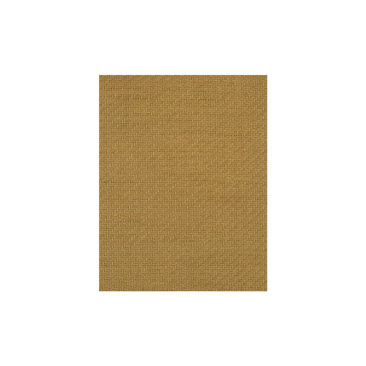 wiw2571wt0-fernwood-caramel-winfield-thybony - WINFIELD THYBONY Wallpaper