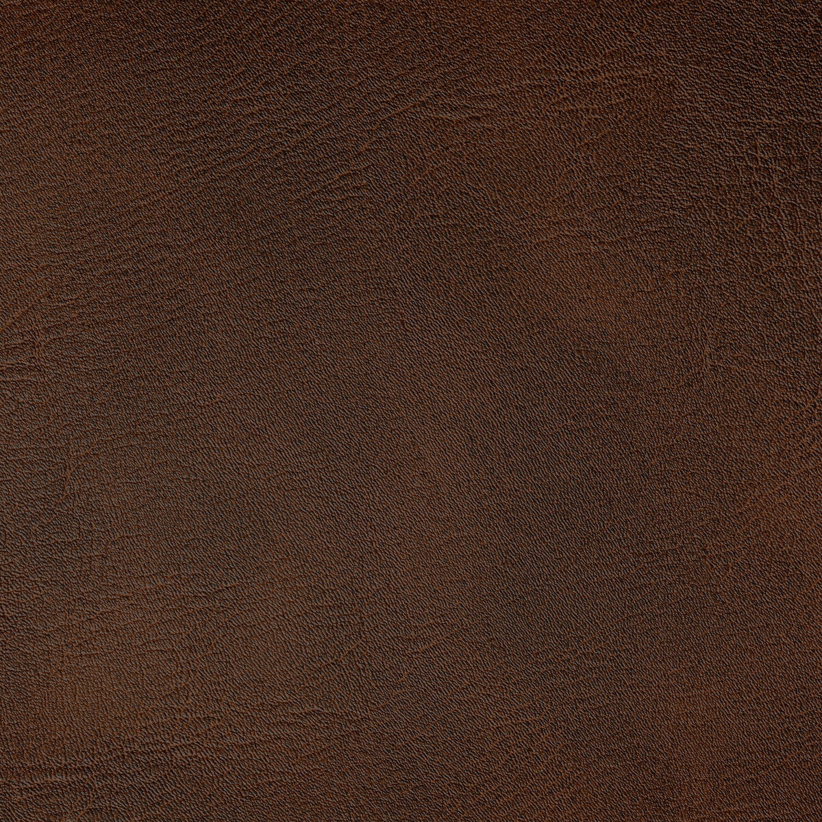 spur60-spur-bronco-kravet-contract