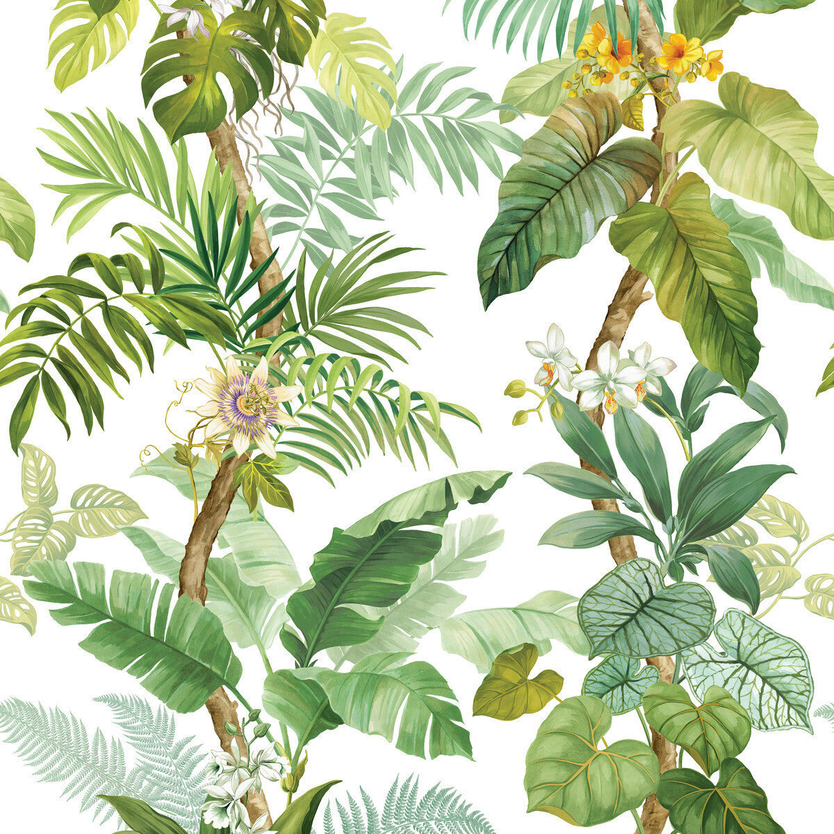 w419630-kravet-design-w4196-3-kravet-design - KRAVET DESIGN Wallpaper