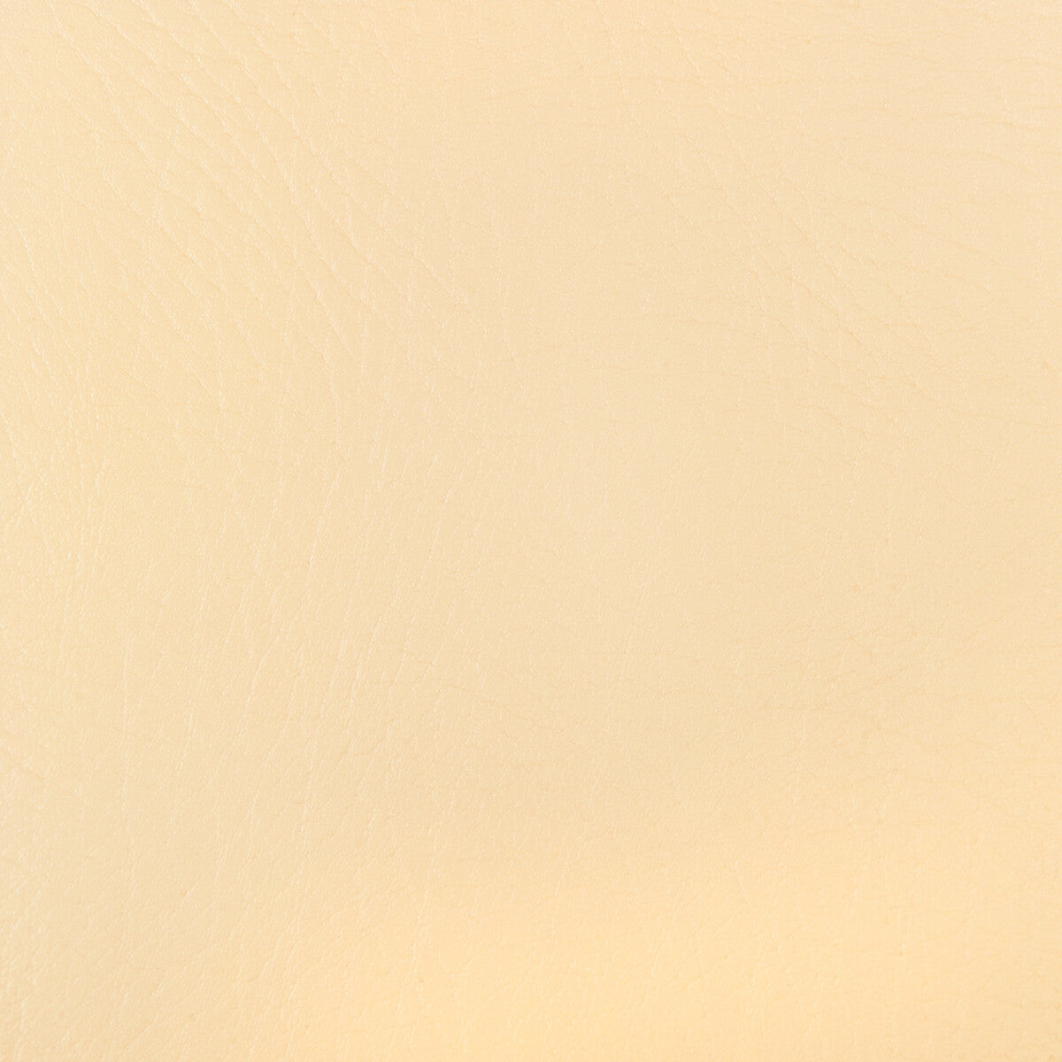 honor10-kravet-design-honor-1-kravet-design