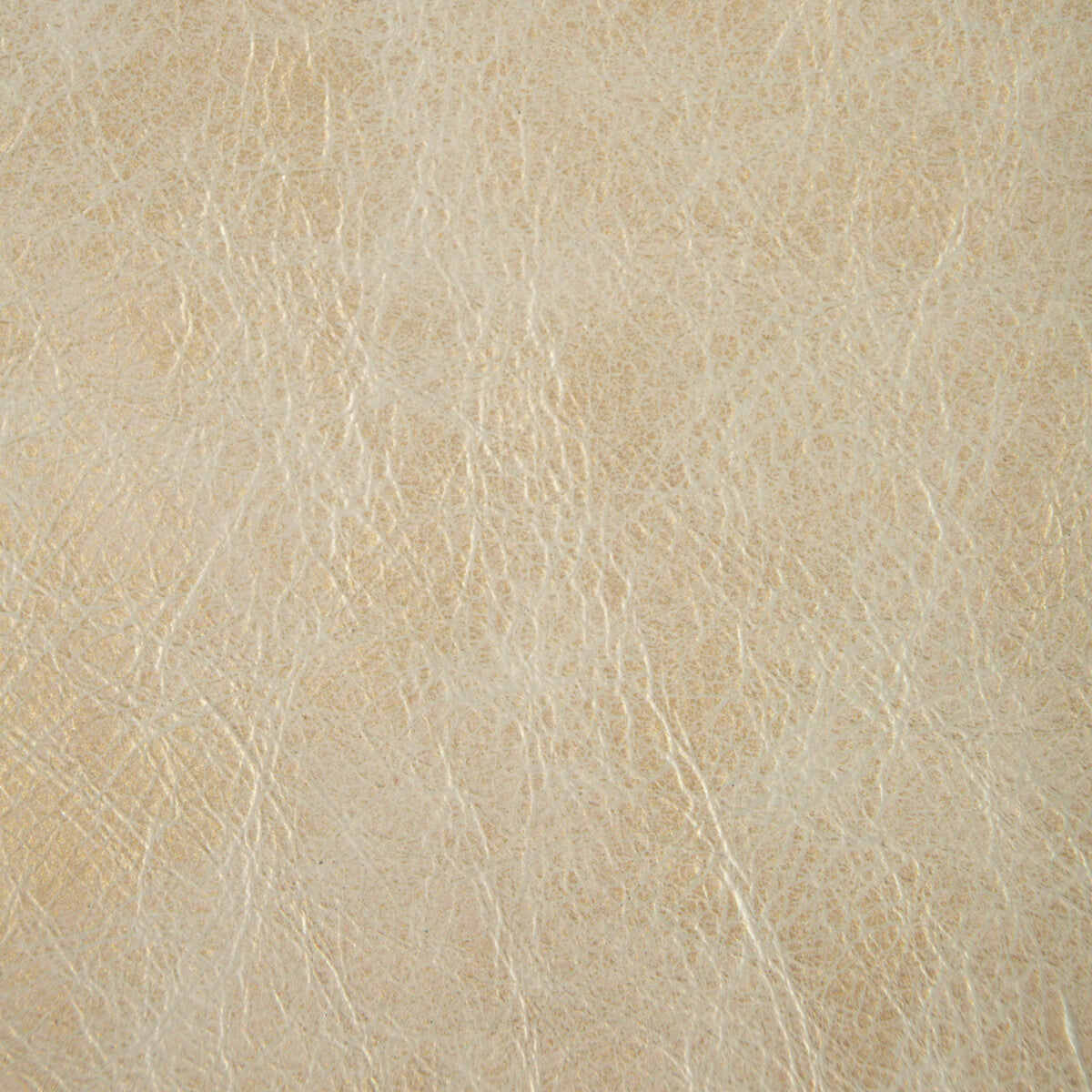 l-gildedplatinum0-l-gilded-platinum-kravet-couture