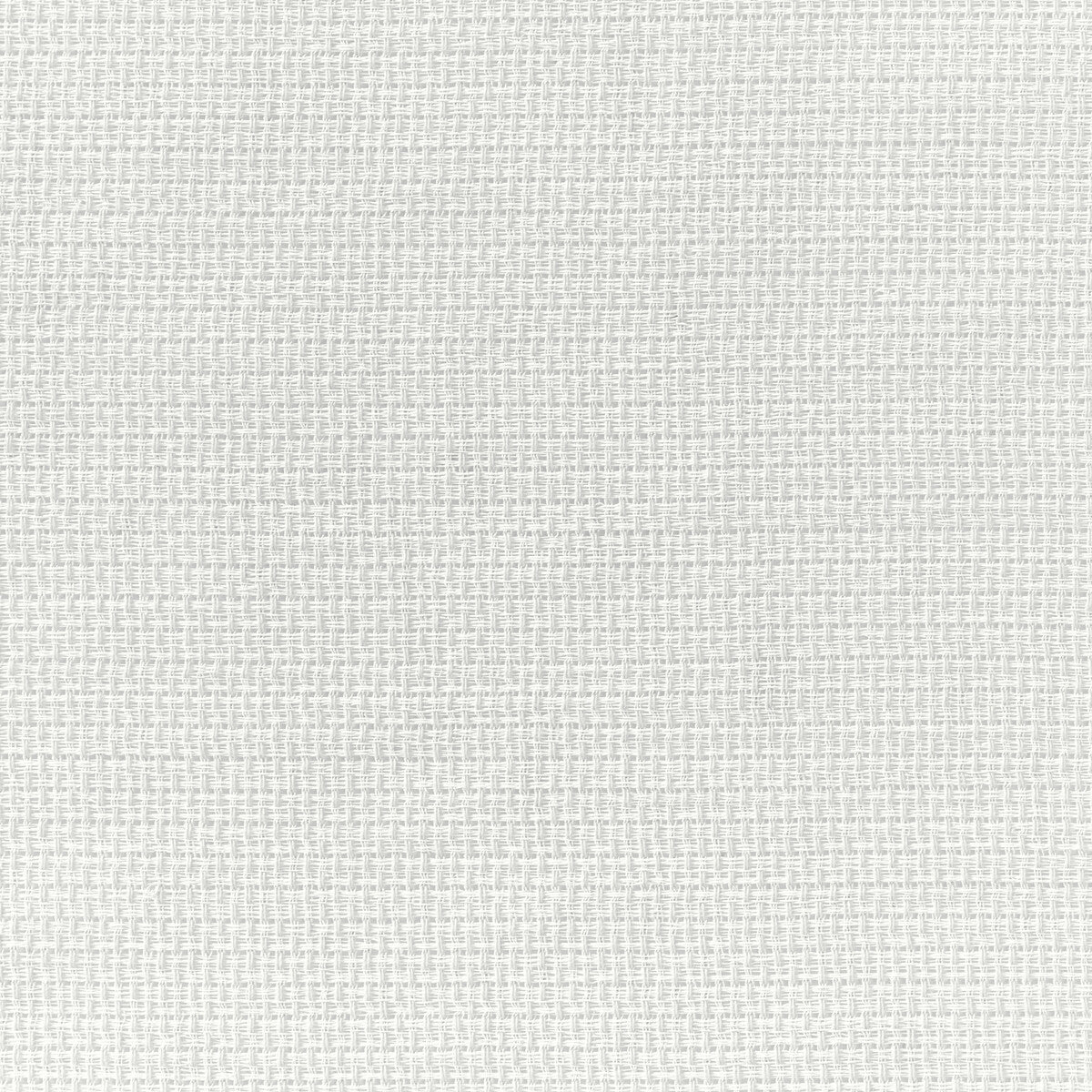 48821010-kravet-basics-4882-101 - KRAVET BASICS Fabric
