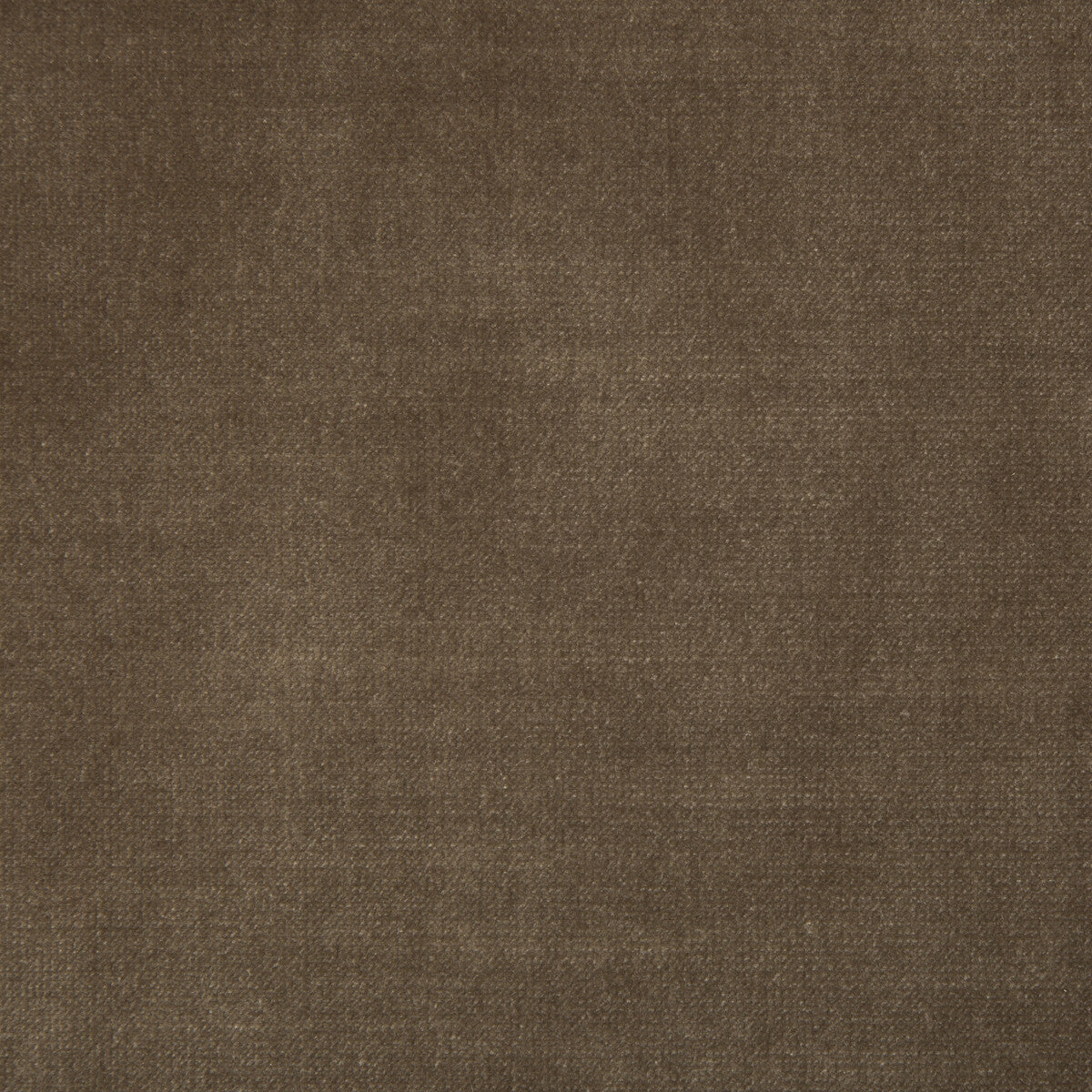 35360660-chessford-latte-kravet-smart - KRAVET SMART Fabric