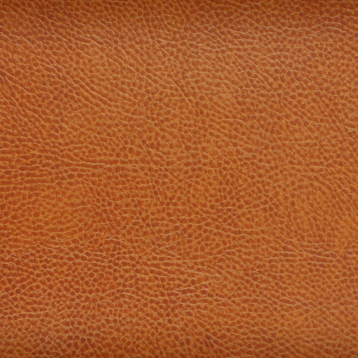 acoustic240-kravet-design-acoustic-24-kravet-design