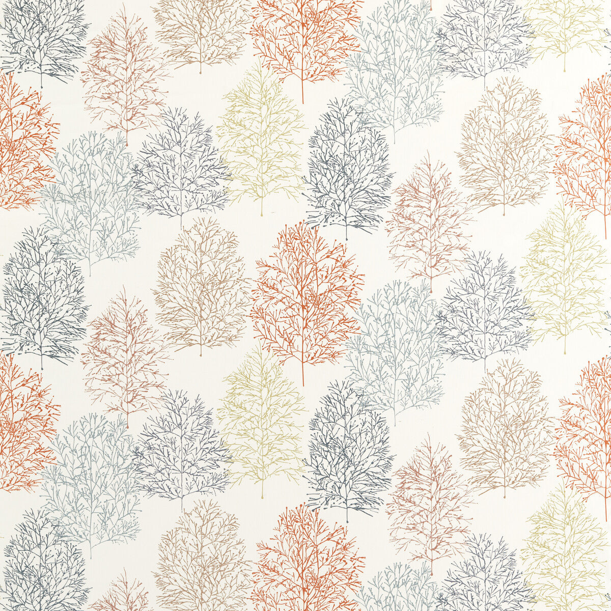 nabs120776scn0-soetsu-spiceraffia-scion