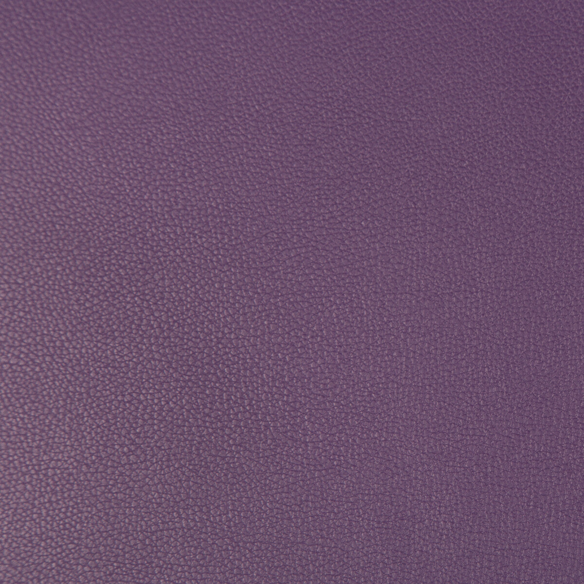 syrus100-syrus-grape-kravet-contract