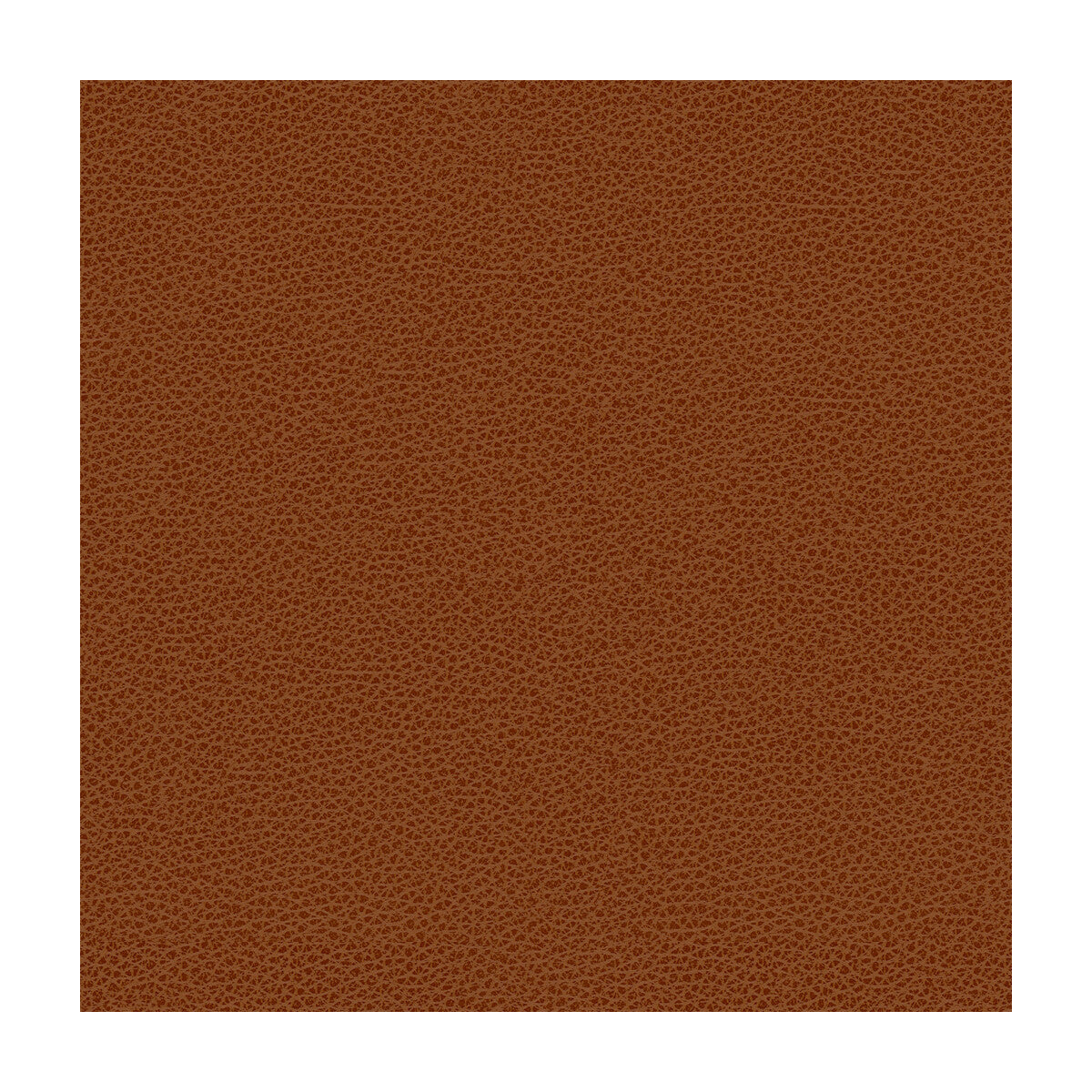 rigel240-kravet-design-rigel-24-kravet-design