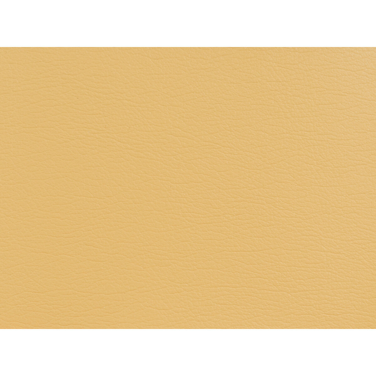 gato4040-kravet-design-gato-404-kravet-design