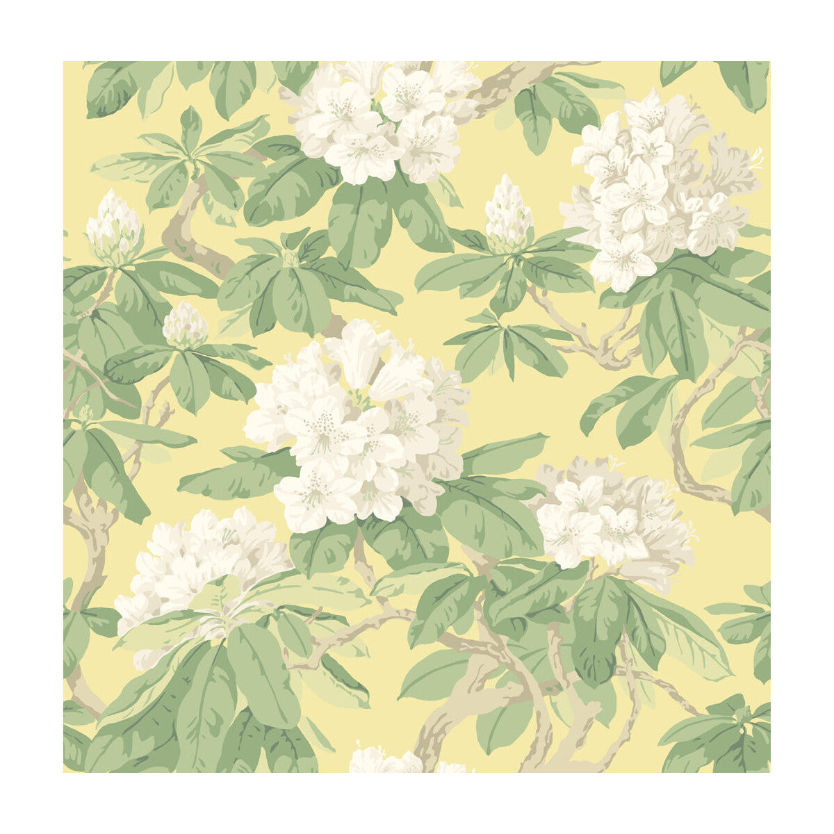 994021cs0-bourlie-pale-lemon-cole-son