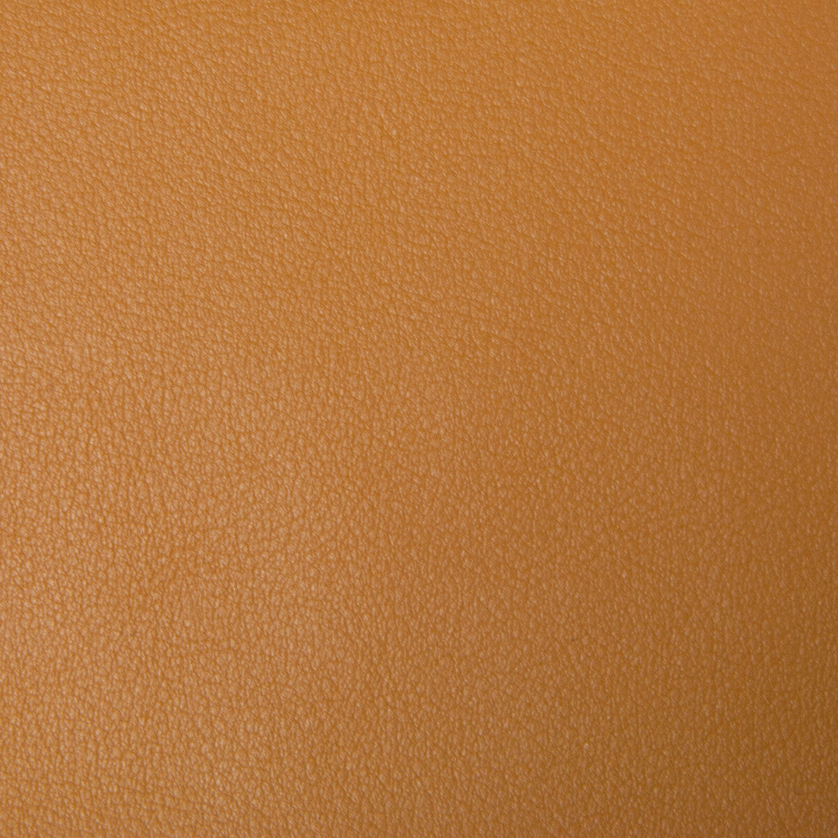 newt40-kravet-smart-newt-4-kravet-smart