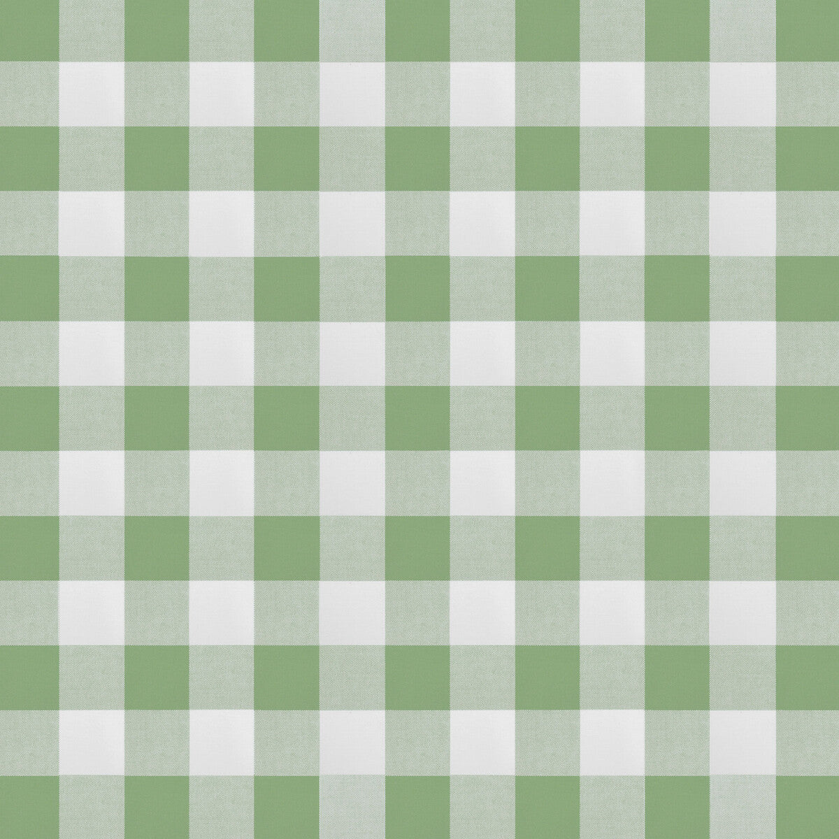 gdt56850060-deia-verde-gaston-y-daniela