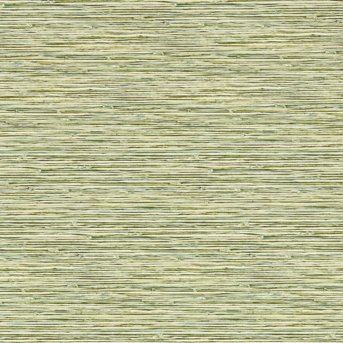 w019204cac0-xan-palm-wp-clarke-and-clarke