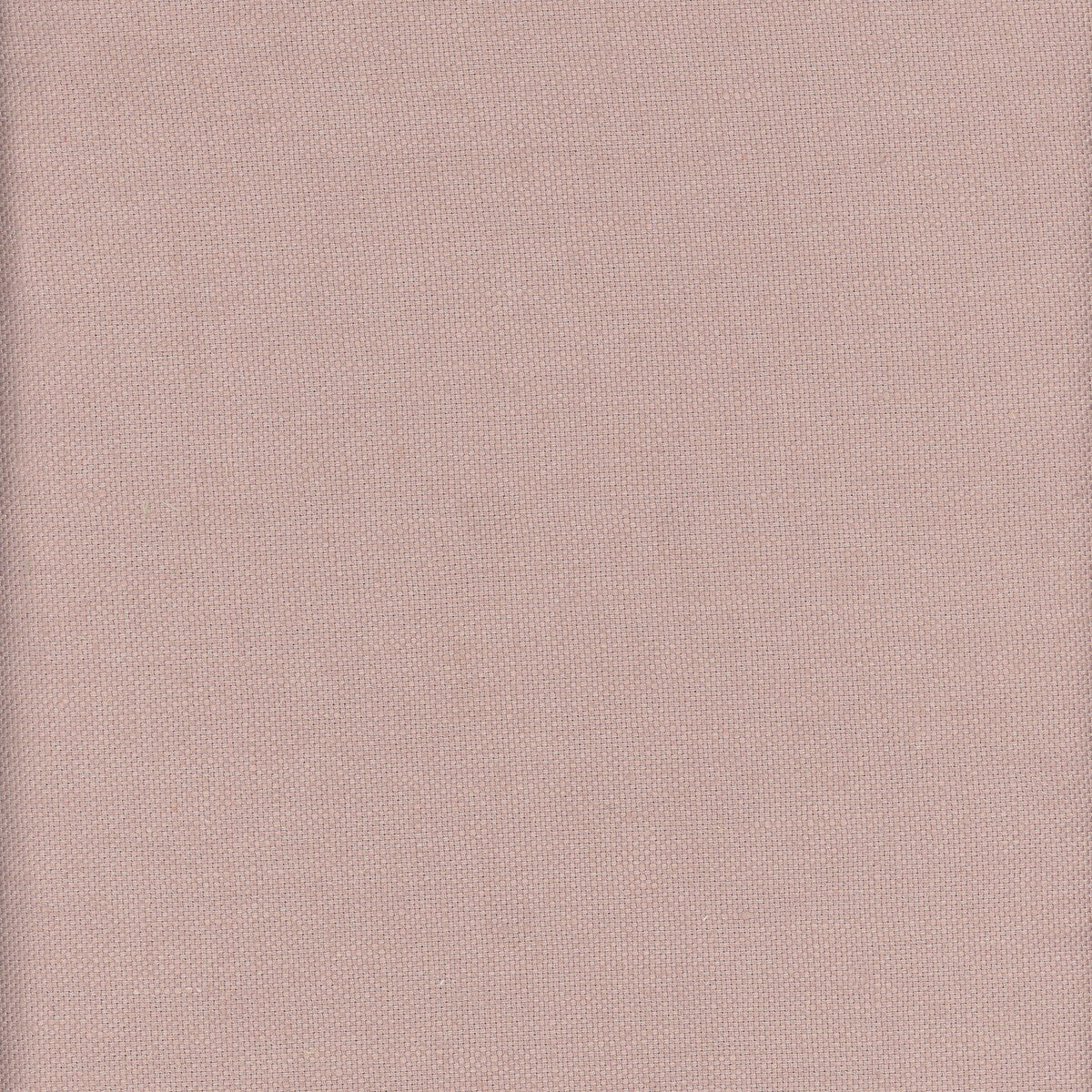 am100346170-beagle-heather-kravet-couture