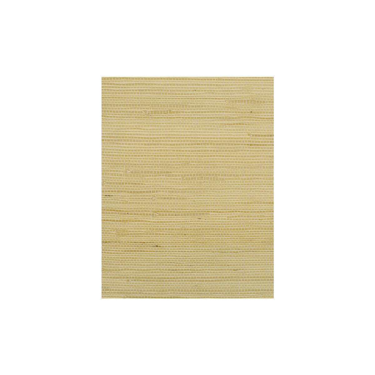 wiw2501wt0-montego-vanilla-winfield-thybony - WINFIELD THYBONY Wallpaper