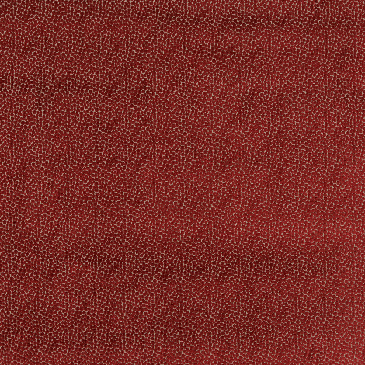 pf504234500-salsa-spot-red-baker-lifestyle