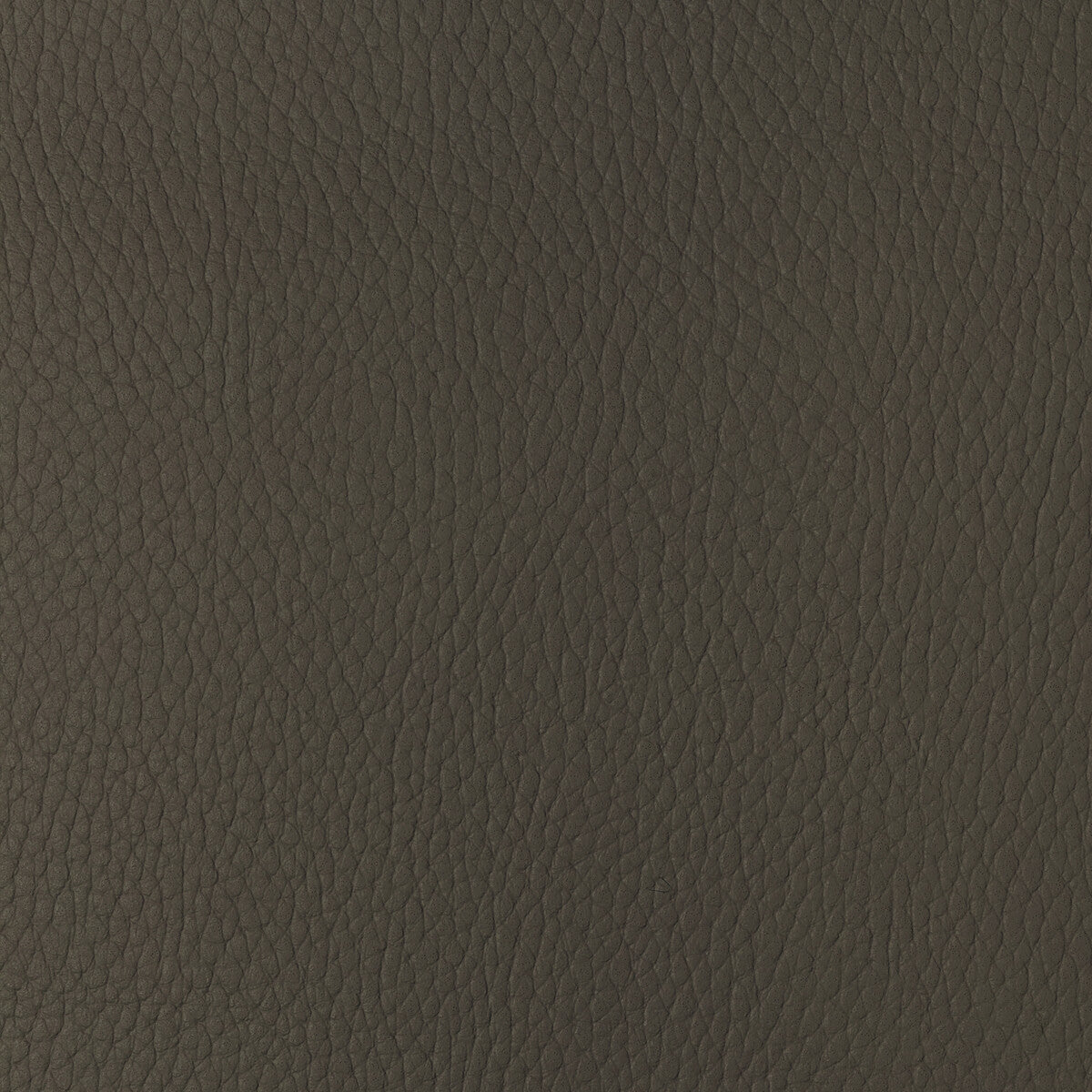 sugarmaple6160-kravet-design-sugarmaple-616-kravet-design