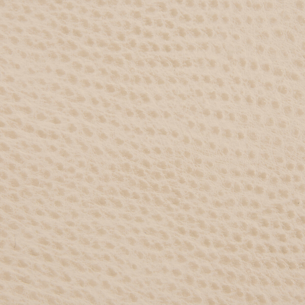 ossy160-kravet-smart-ossy-16-kravet-smart
