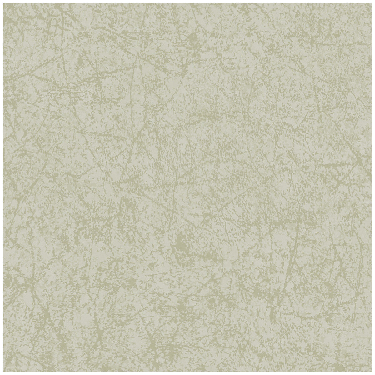 1064058cs0-cordovan-old-olive-cole-son