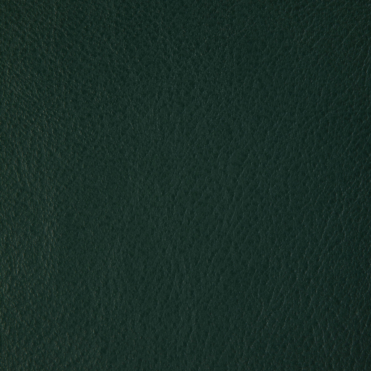 l-howdyemerald0-kravet-design-l-howdy-emerald-kravet-design