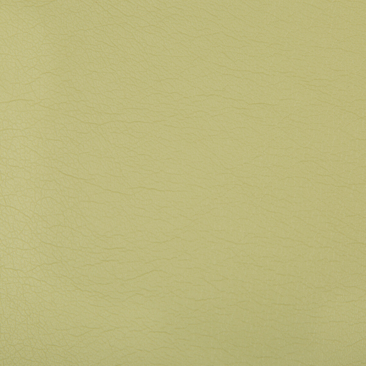 optima230-optima-wasabi-kravet-contract